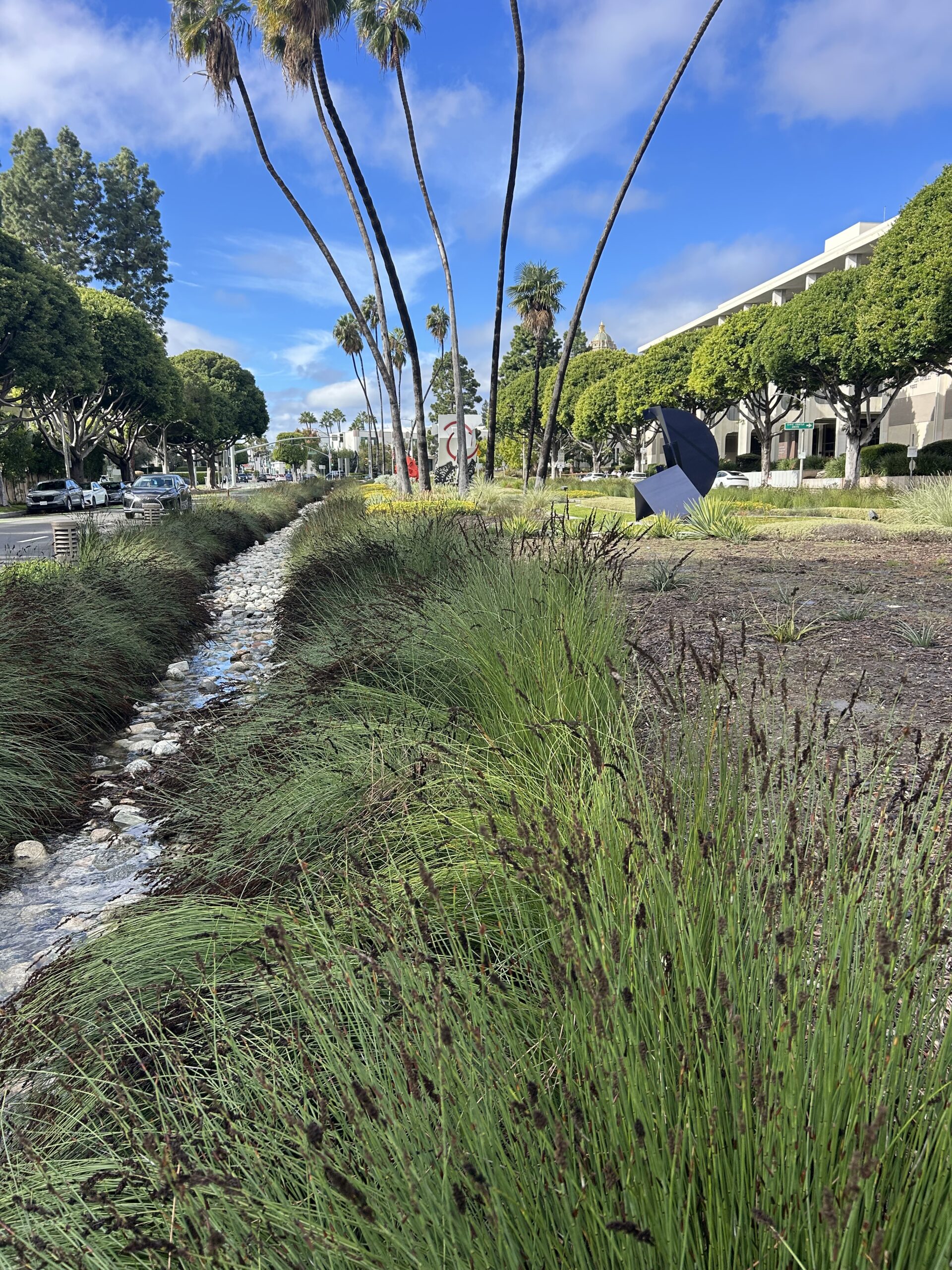 Creek running through a park